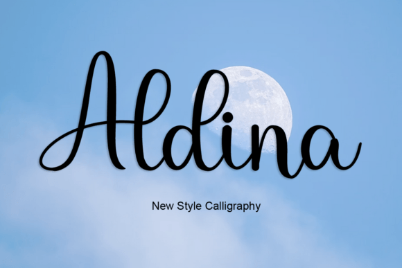 Aldina: The Perfect Handwritten Font for Your Craft Business