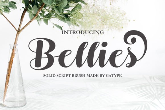 Bellies: The Modern Script Font That Elevates Brand Identity