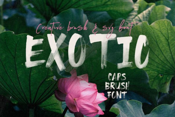 Exotic Typeface: The Bold Script Font for Standout Branding